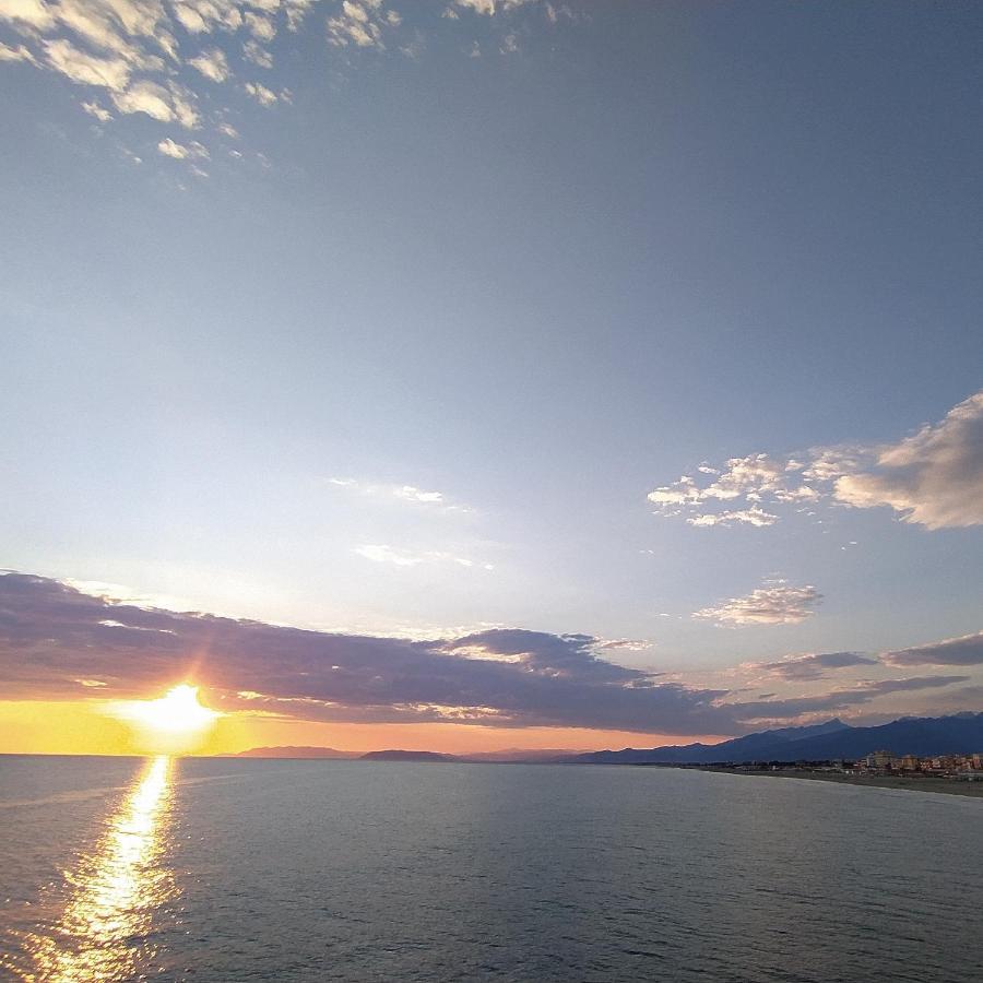 B&B Villa La Bouganville Camaiore Bagian luar foto