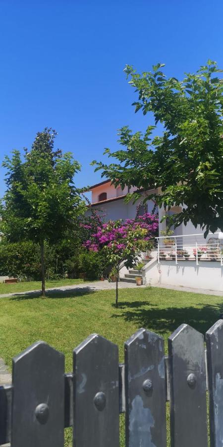 B&B Villa La Bouganville Camaiore Bagian luar foto