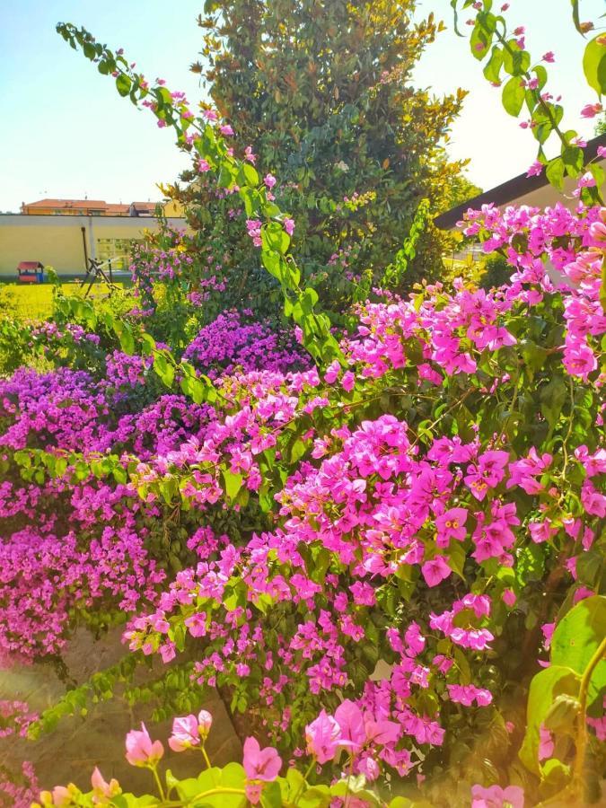 B&B Villa La Bouganville Camaiore Bagian luar foto