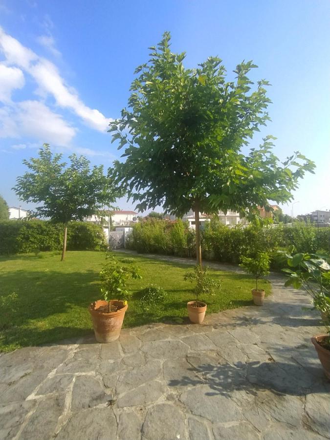 B&B Villa La Bouganville Camaiore Bagian luar foto