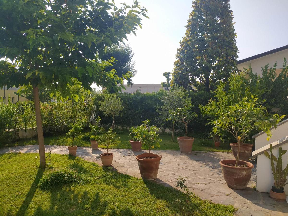 B&B Villa La Bouganville Camaiore Bagian luar foto