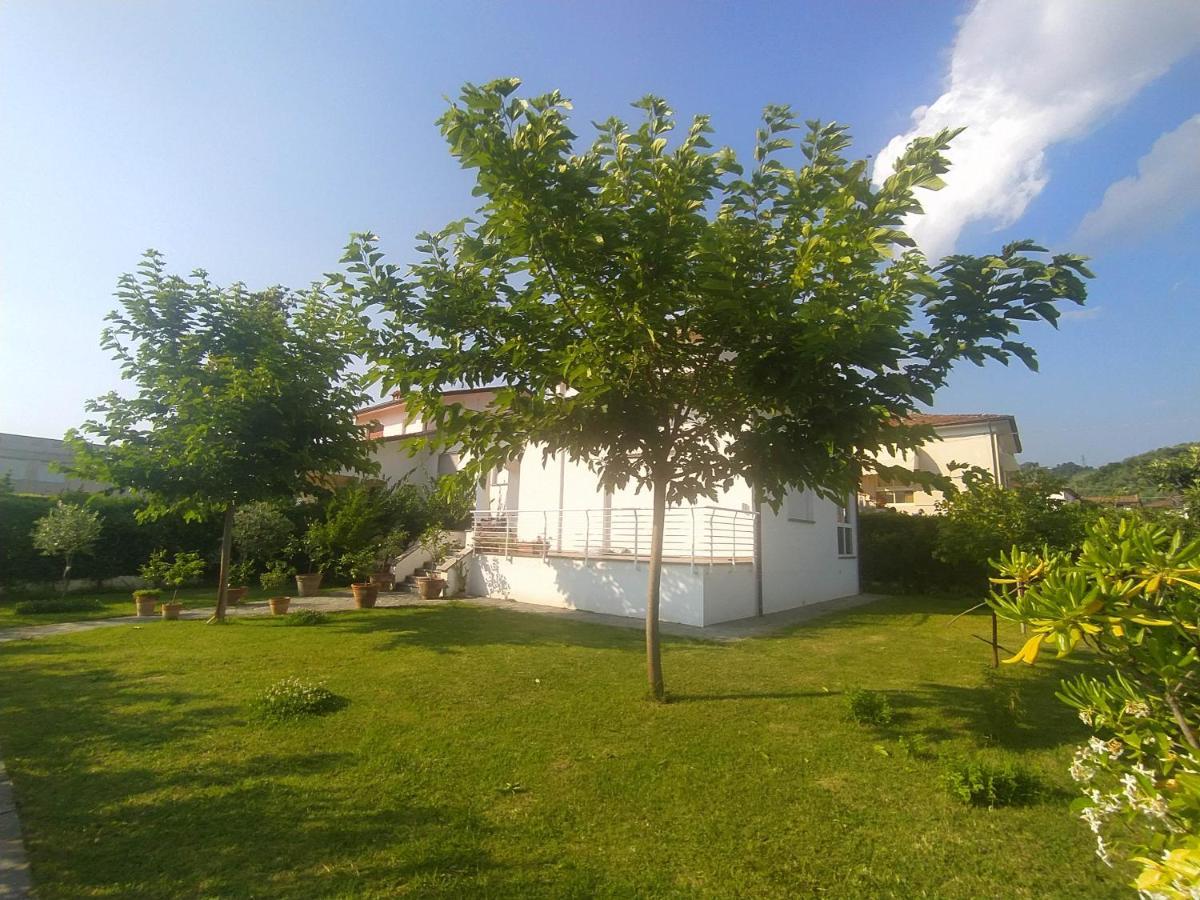 B&B Villa La Bouganville Camaiore Bagian luar foto