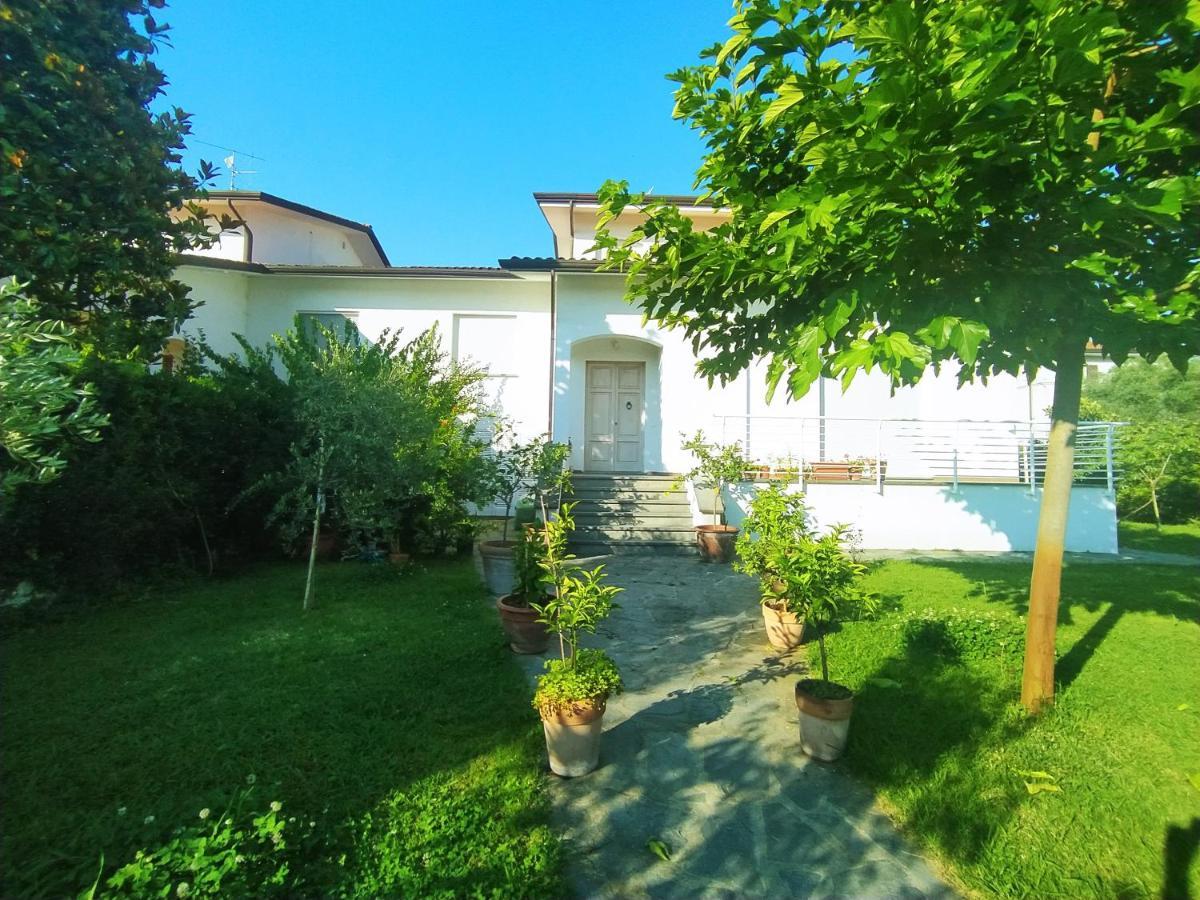 B&B Villa La Bouganville Camaiore Bagian luar foto