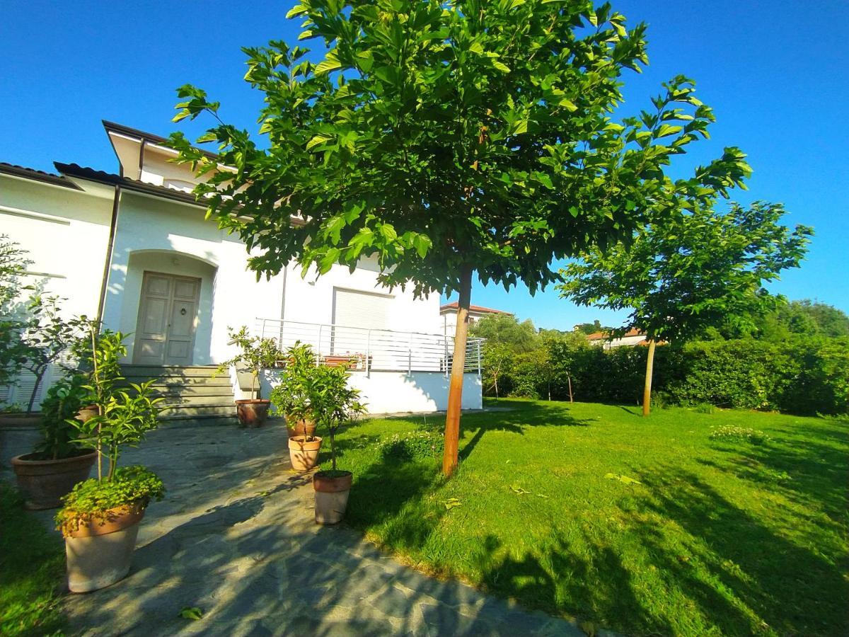 B&B Villa La Bouganville Camaiore Bagian luar foto