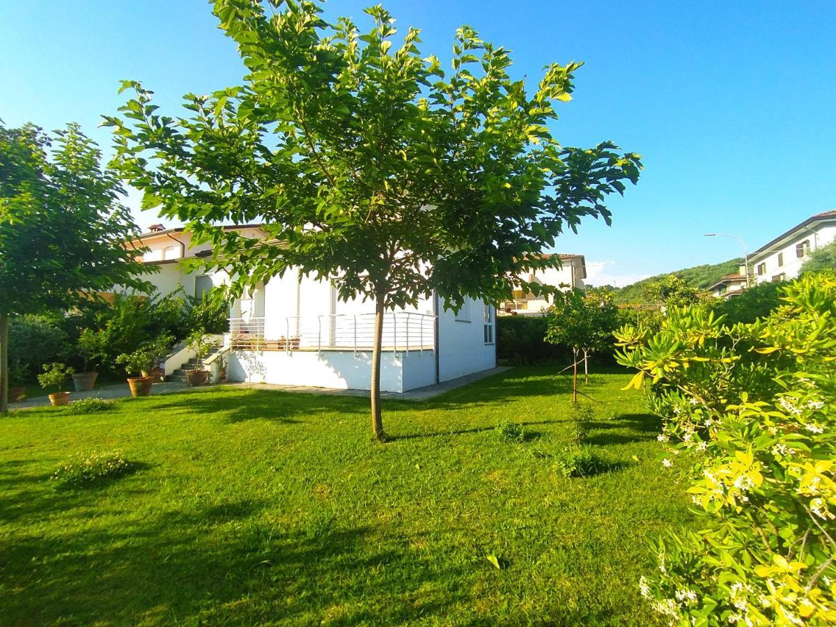 B&B Villa La Bouganville Camaiore Bagian luar foto
