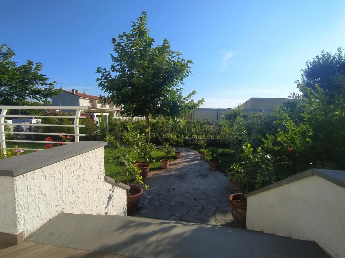 B&B Villa La Bouganville Camaiore Bagian luar foto