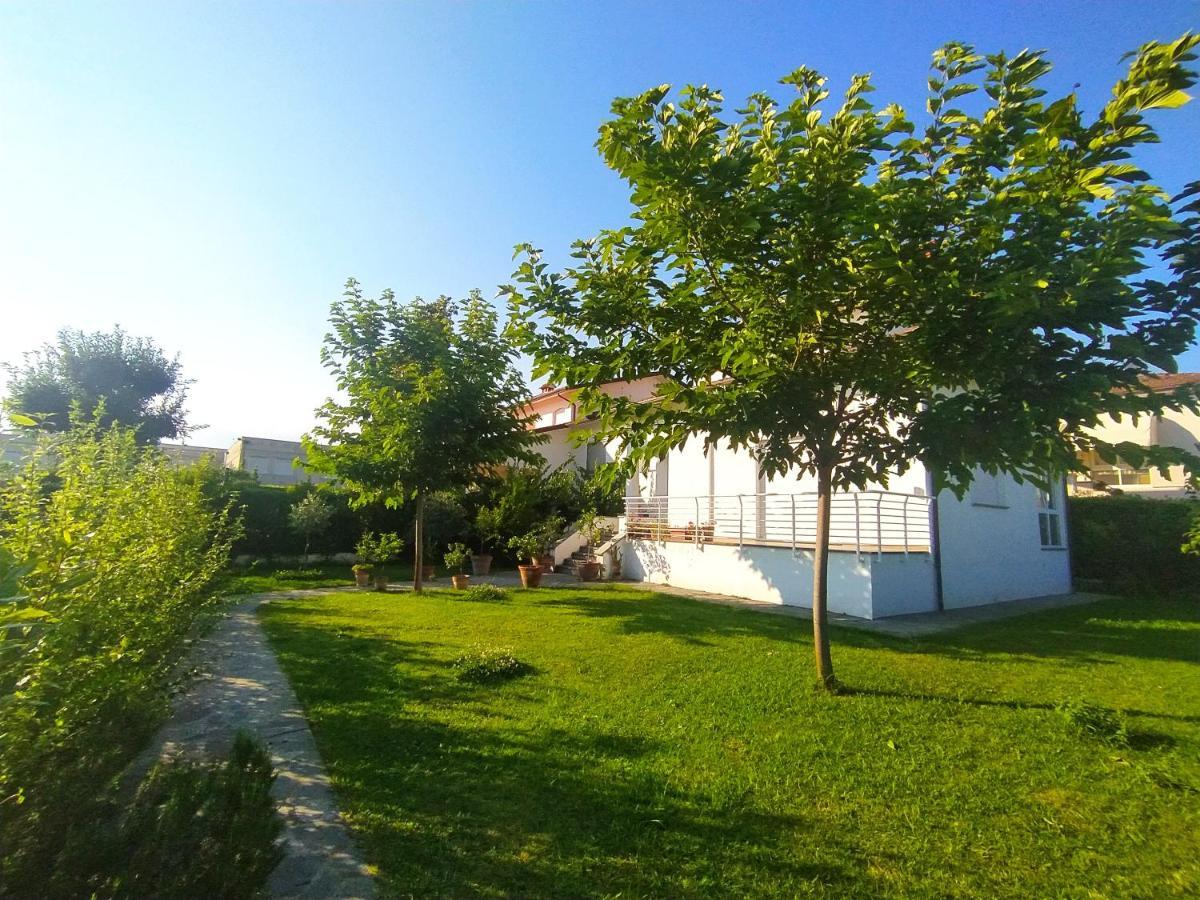 B&B Villa La Bouganville Camaiore Bagian luar foto