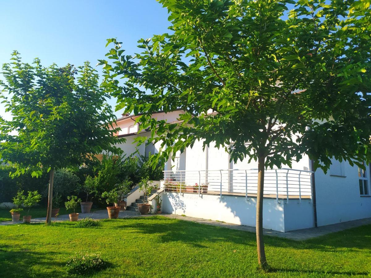 B&B Villa La Bouganville Camaiore Bagian luar foto