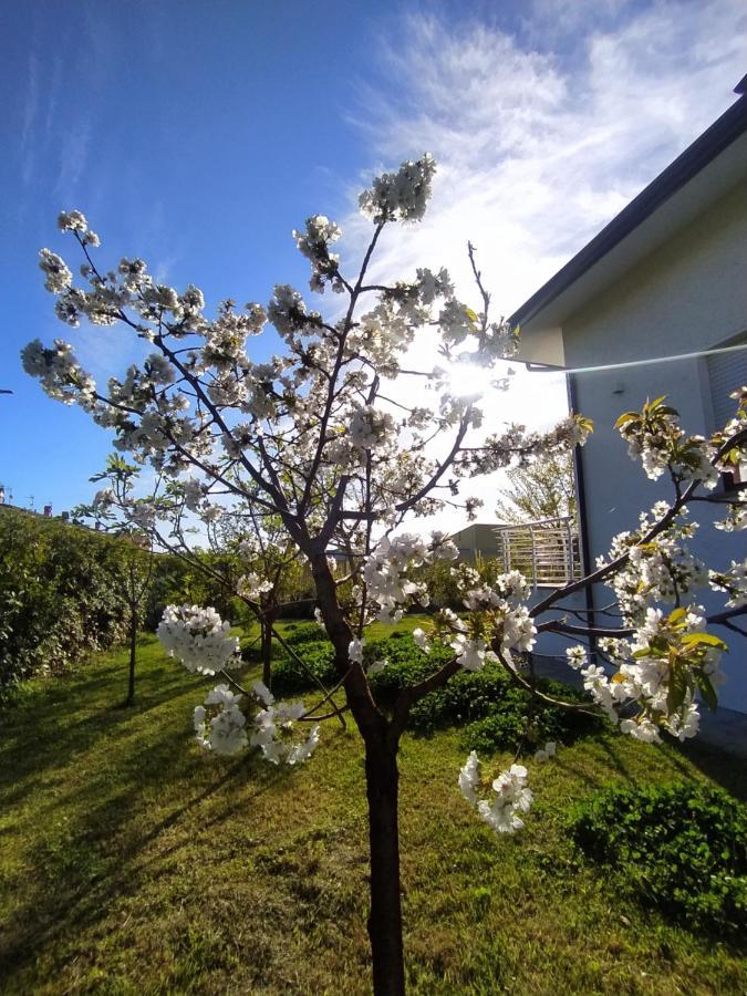 B&B Villa La Bouganville Camaiore Bagian luar foto